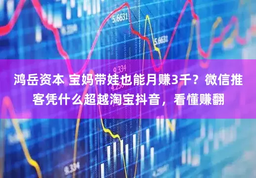 鸿岳资本 宝妈带娃也能月赚3千？微信推客凭什么超越淘宝抖音，看懂赚翻